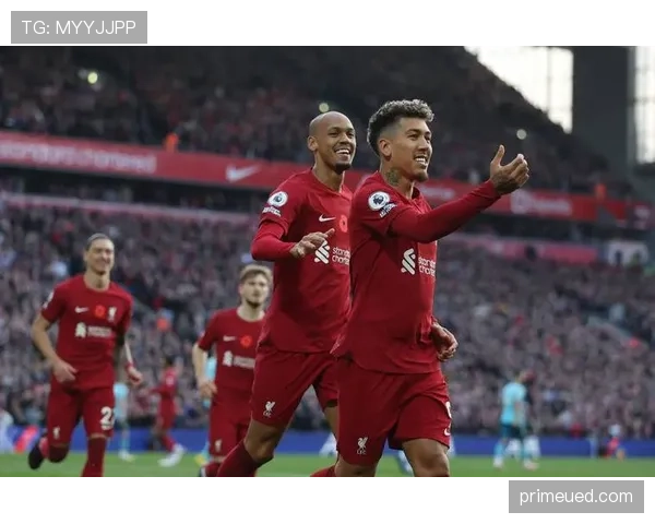 努涅斯与菲尔米诺的战术角色差异：体系适配性与功能定位解析