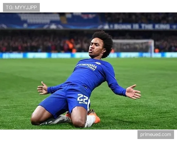 尼科·威廉斯在国家队关键战中的表现与作用分析