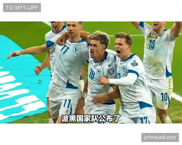 2026世界杯波黑队阵容预测 哲科领衔能否创造历史最佳战绩